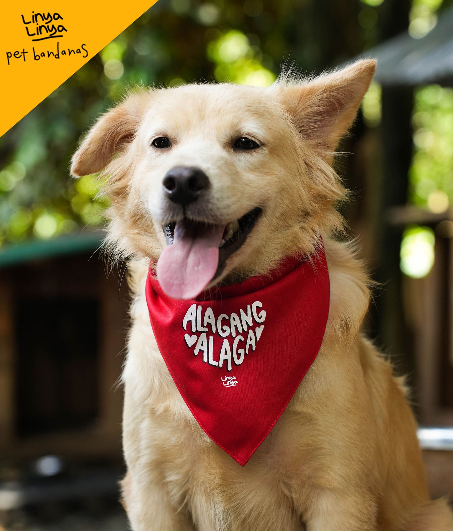 Pet Bandanas: Alagang-alaga (Red)