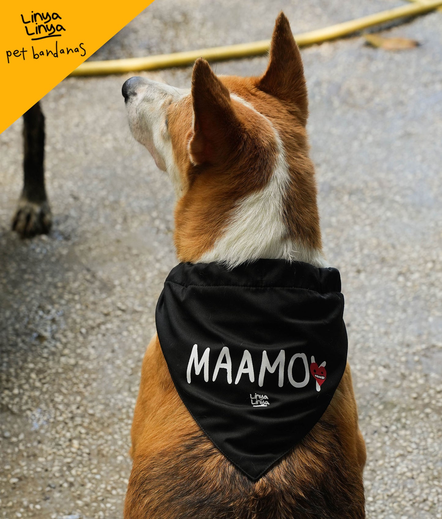Pet Bandanas: Maamo(y) -Black
