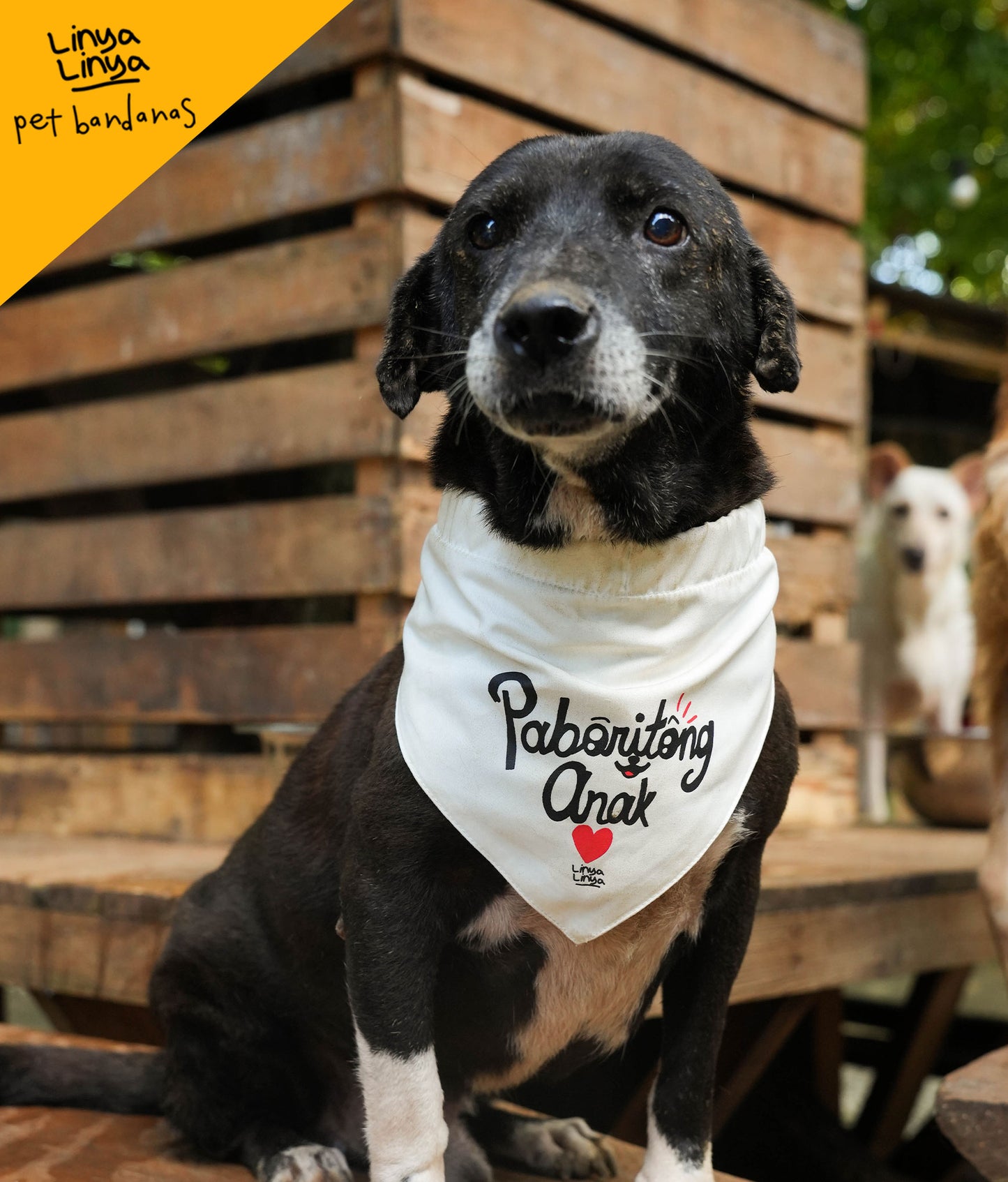 Pet Bandanas: Paboritong Anak (Cream)